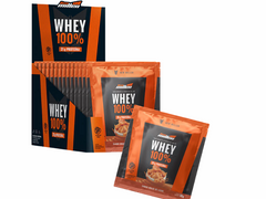 WHEY 100% 15X30G - NEW MILLEN