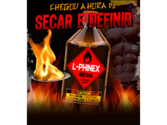 L-PHINEX (L-CARNITINA) 480ML - POWER SUPPLEMENTS - Sua Saúde Distribuidora