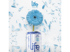 LIFE BOOSTER ENERGY DRINK ULTRA ZERO 269ML (FARDO C/ 6 UN) - Sua Saúde Distribuidora