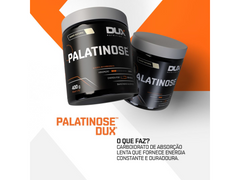 PALATINOSE 400G - DUX NUTRITION - Sua Saúde Distribuidora